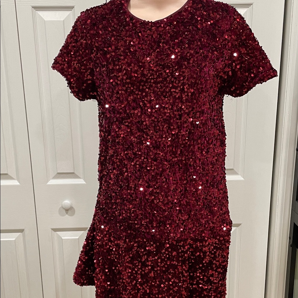 Zara Burgundy Sequin Dress